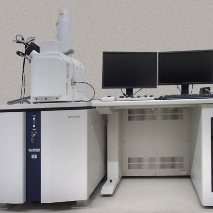 タングステンSEM(EDS抽出器付き,電子を用いてより小さなものを観察)