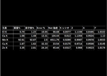 定量分析(SEM分析)
