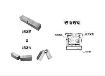 3D-picture02