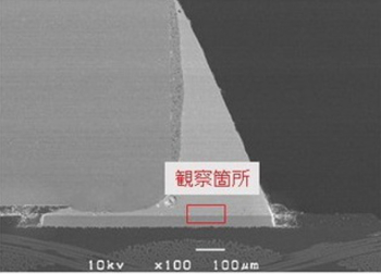 鉛フリーはんだのSEM観察(断面CP加工)